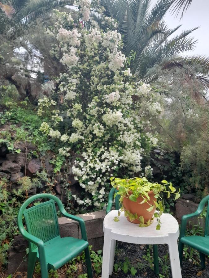 -The Garden - Apartment Las Palmas Exterior photo
