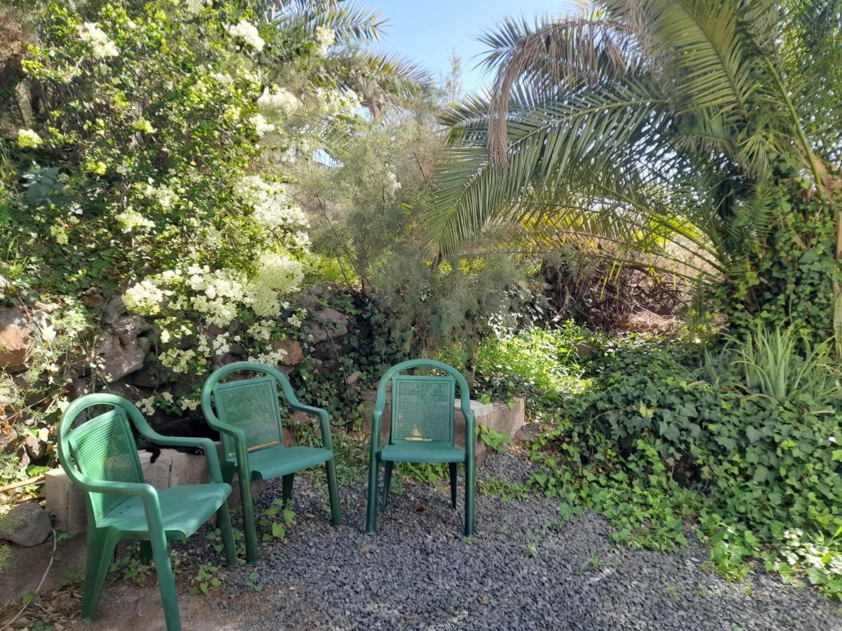 -The Garden - Apartment Las Palmas Exterior photo